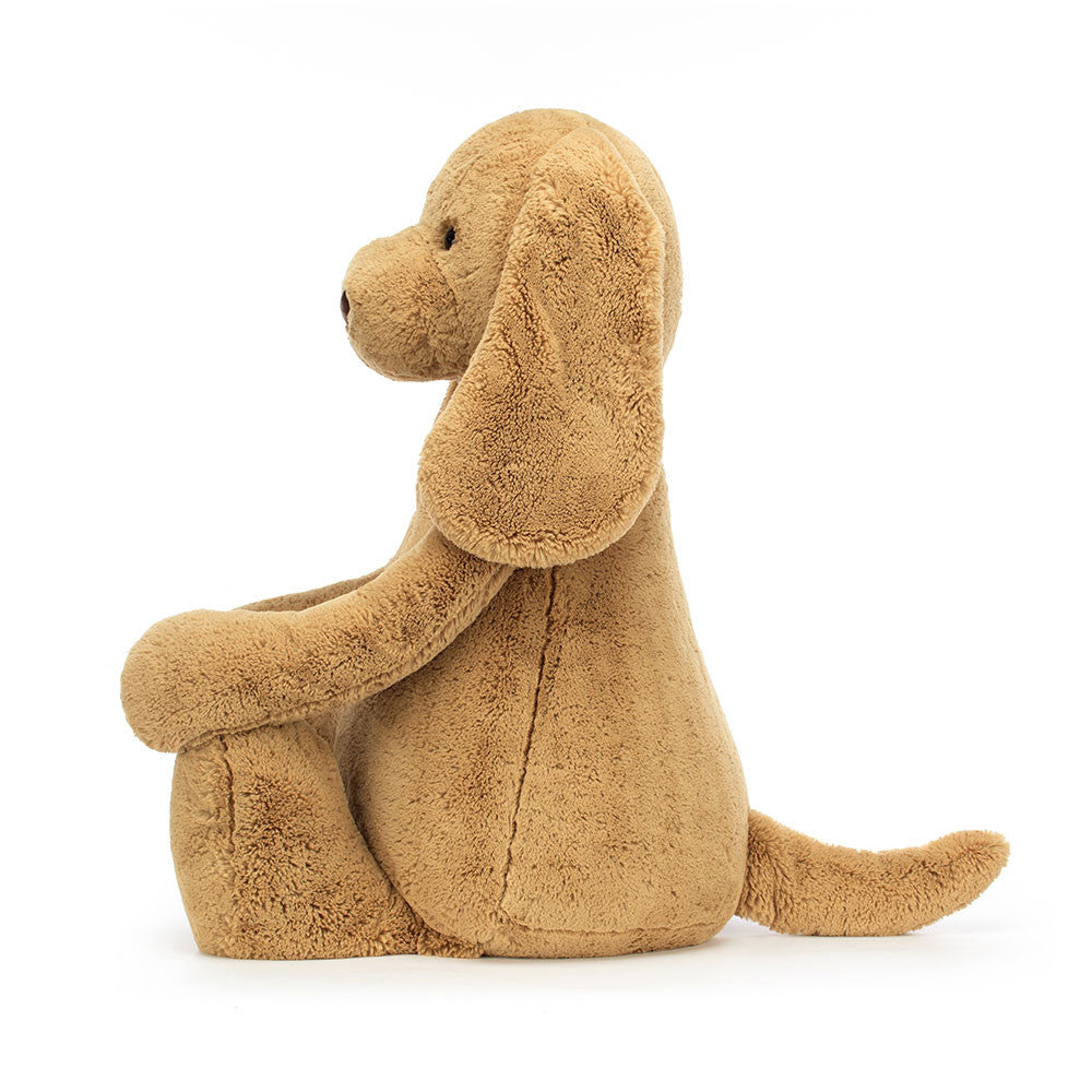 Bashful Toffee Puppy